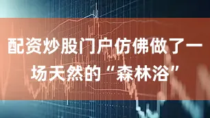 配资炒股门户仿佛做了一场天然的“森林浴”