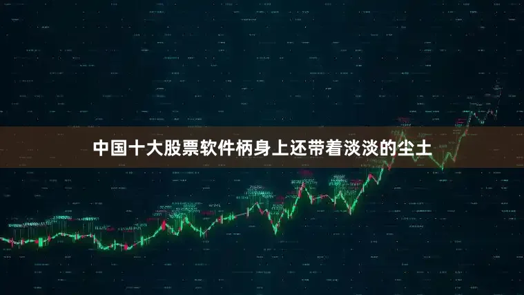 中国十大股票软件柄身上还带着淡淡的尘土