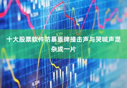 十大股票软件防暴盾牌撞击声与哭喊声混杂成一片