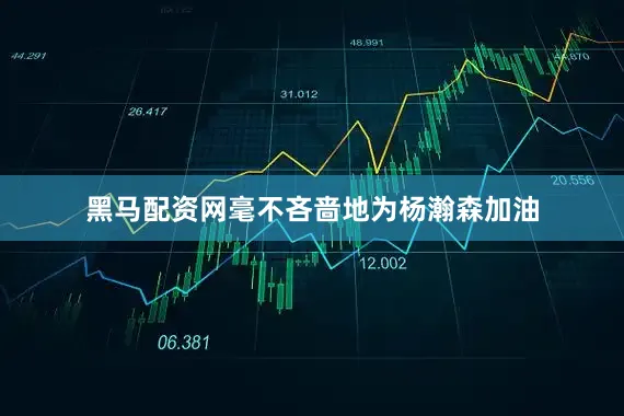 黑马配资网毫不吝啬地为杨瀚森加油